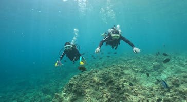 武藤潜水に投稿された画像（2025/7/9）