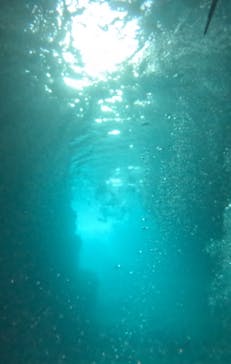 武藤潜水に投稿された画像（2025/7/9）