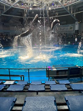 マクセル アクアパーク品川に投稿された画像（2025/7/9）