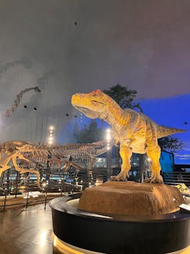 福井県立恐竜博物館に投稿された画像（2025/7/9）