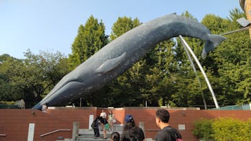 国立科学博物館に投稿された画像（2025/7/9）