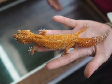 体感型動物園iZooに投稿された画像（2025/7/9）