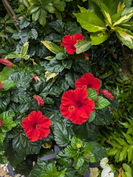 サンシャイン水族館に投稿された画像（2025/7/9）