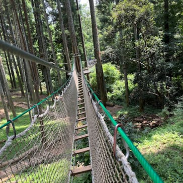 Sport & Do Resort リソルの森　フォレストアドベンチャー・ターザニアに投稿された画像（2025/7/9）