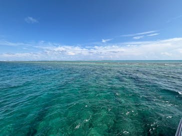 M.a.r.i.n.e Factoryに投稿された画像（2025/7/9）