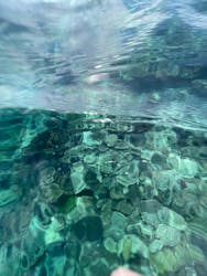 マリンクラブ ベリー 那覇店に投稿された画像（2025/7/9）