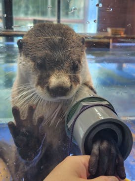 ゼロ距離水族館 伊勢シーパラダイスに投稿された画像（2025/7/9）