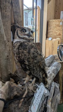 長崎バイオパークに投稿された画像（2025/7/9）