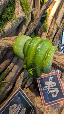 長崎バイオパークに投稿された画像（2025/7/9）