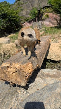 長崎バイオパークに投稿された画像（2025/7/9）