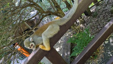 長崎バイオパークに投稿された画像（2025/7/9）