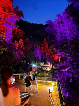 ニジゲンノモリに投稿された画像（2025/7/9）