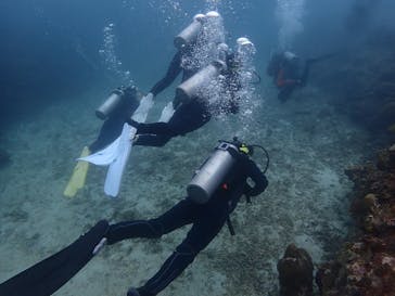 初心者専門店NEOMARINE石垣島に投稿された画像（2025/7/9）