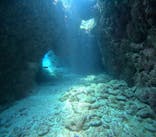 Summer Party（サマーパーティー）に投稿された画像（2025/7/10）