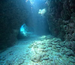 Summer Party（サマーパーティー）に投稿された画像（2025/7/9）