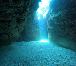 Summer Party（サマーパーティー）に投稿された画像（2025/7/9）