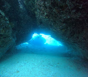 Summer Party（サマーパーティー）に投稿された画像（2025/7/9）