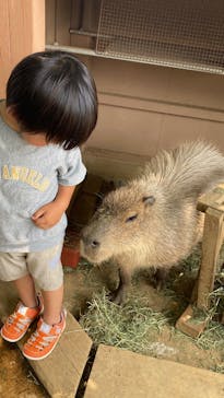 横浜・八景島シーパラダイス　プレジャーランドに投稿された画像（2025/7/10）