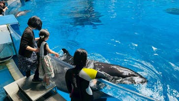 マクセル アクアパーク品川に投稿された画像（2025/7/10）