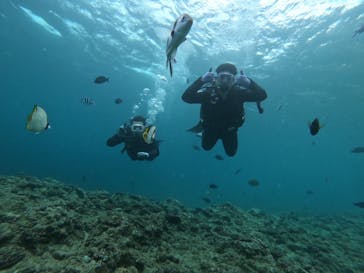 武藤潜水に投稿された画像（2025/7/10）