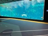 箱根園水族館に投稿された画像（2025/7/10）