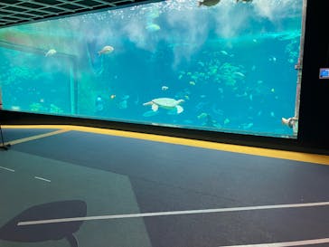 箱根園水族館に投稿された画像（2025/7/10）