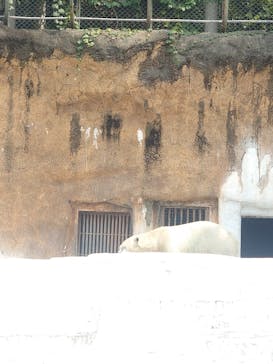 天王寺動物園に投稿された画像（2025/7/10）