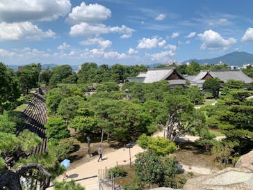 元離宮二条城に投稿された画像（2025/7/10）