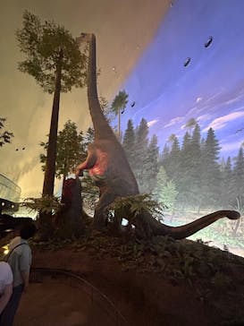 福井県立恐竜博物館に投稿された画像（2025/7/10）