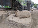 伊豆シャボテン動物公園に投稿された画像（2025/7/10）