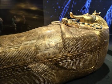 MYSTERY OF TUTANKHAMEN 体感型古代エジプト展に投稿された画像（2025/7/10）