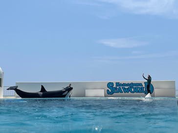 鴨川シーワールドに投稿された画像（2025/7/10）