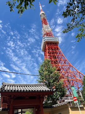東京タワーに投稿された画像（2025/7/10）