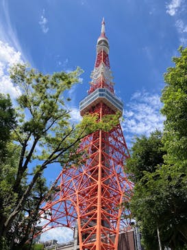 東京タワーに投稿された画像（2025/7/10）