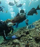 武藤潜水に投稿された画像（2025/7/11）