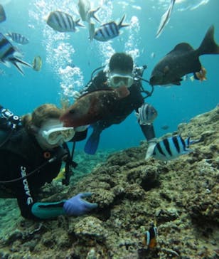 武藤潜水に投稿された画像（2025/7/11）