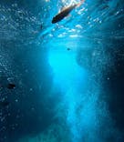 青の洞窟専門店　沖縄ダイビングショップ和に投稿された画像（2025/7/11）