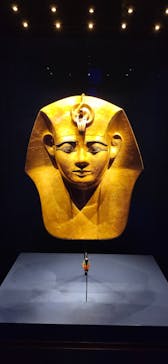 ACN ラムセス大王展 ファラオたちの黄金に投稿された画像（2025/7/11）