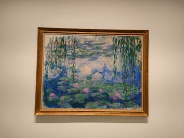 モネ 睡蓮のとき（豊田会場）に投稿された画像（2025/7/11）