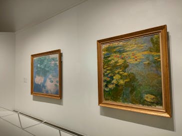 モネ 睡蓮のとき（豊田会場）に投稿された画像（2025/7/11）