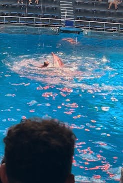 マクセル アクアパーク品川に投稿された画像（2025/7/11）