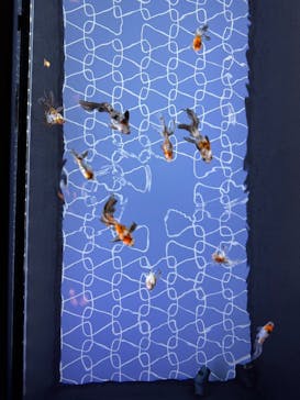 すみだ水族館に投稿された画像（2025/7/11）