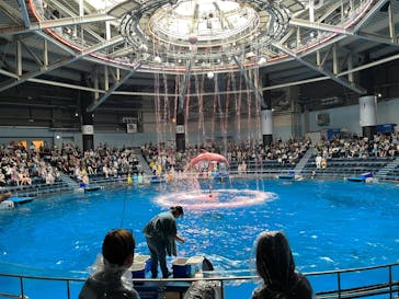 マクセル アクアパーク品川に投稿された画像（2025/7/11）