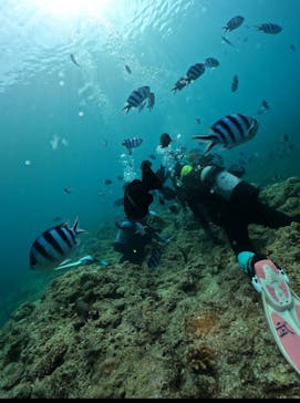 武藤潜水に投稿された画像（2025/7/11）