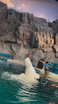 名古屋港水族館に投稿された画像（2025/7/11）