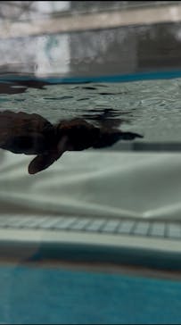 名古屋港水族館に投稿された画像（2025/7/11）