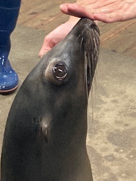 城崎マリンワールドに投稿された画像（2025/7/11）