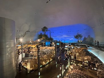 福井県立恐竜博物館に投稿された画像（2025/7/11）