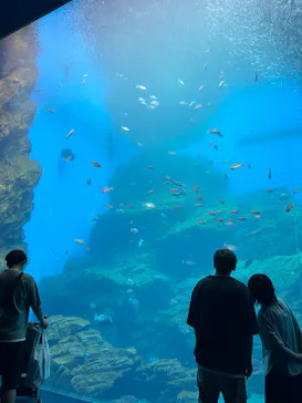 仙台うみの杜水族館に投稿された画像（2025/7/11）