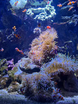 仙台うみの杜水族館に投稿された画像（2025/7/11）